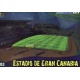 Estadio Gran Canaria Brillo Liso Las Palmas 803