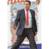 Trading Cards Sandoval Sporting Platinum Quiz 2014