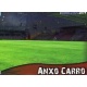Anxo Carro Brillo Liso Lugo 893