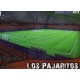 Los Pajaritos Brillo Liso Numancia 911