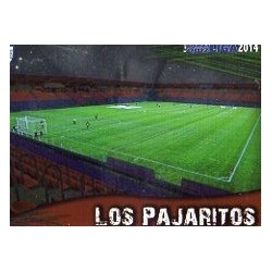 Los Pajaritos Brillo Liso Numancia 911