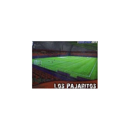 Los Pajaritos Brillo Liso Numancia 911