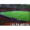 Sale Trading Cards Los Pajaritos Numancia Brillo Liso Fichas Liga Platinum 2014