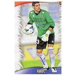 Raúl Numancia 913