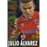 Offer Soccer Cards Julio Álvarez Numancia Superstar Brillo Liso Mundicromo Platinum Liga 2014