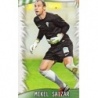 Sale Trading Cards Mikel Saizar Córdoba Platinum Quiz 2014