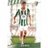 Trading Cards Strahman Córdoba Fichas Liga Platinum 2014