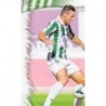 Soccer Trading Cards Xisco Córdoba Fichas Liga Platinum 2014