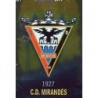 Sale Trading Cards Escudo Mirandés Brillo Liso Mundicromo Platinum Liga 2014