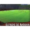 Trading Cards Anduva Mirandés Brillo Liso Platinum Quiz 2014