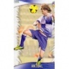 Soccer Trading Cards Anibal Sabadell Fichas Liga Platinum 2014