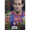 Sale Trading Cards Jota Eibar Superstar Brillo Liso Fichas Liga Platinum 2014