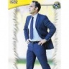Trading Cards Bordalás Alcorcón Fichas Liga Platinum 2014
