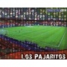 Soccer Trading Cards Los Pajaritos Numancia Brillo Letras Mundicromo Platinum Liga 2014