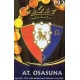 Escudo Brillo Liso Osasuna 298