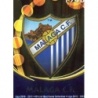Venta Online Escudo Error 1 Brillo Liso Málaga Mundicromo Quiz 2010-11