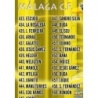 Soccer Trading Cards Indice Málaga Mundicromo Fichas Liga 2010-11