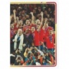 Buy Online Cards Mundial 2010 Alineación 2 Álbum De La Selección Española 2021