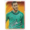 Comprar Online De Gea Firma Álbum De La Selección Española 2021