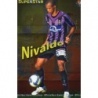 Trading Cards Nivaldo Superstar Brillo Liso Mundicromo Fichas Liga 2009-10