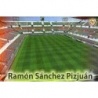 Comprar Online Ramón Sánchez Pizjuán Estadio Letras Doradas Sevilla Las Fichas Quiz Liga 2009-10