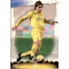 Cromos de Fútbol Cani Villarreal Mundicromo Fichas De La Liga 2009