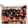Venta Online Plantilla Mallorca Fichas De La Liga 2009