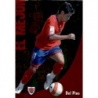 Trading Cards Del Pino El Mejor Punta Cuadrada Lisa Numancia Fichas De La Liga 2009