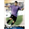 Comprar Online Fernando Málaga Mundicromo Fichas De La Liga 2009
