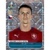 Sticker of Vladimír Darida Czech Republic Panini Euro 2020 Preview