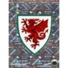 Buy Loose Sticker Badge Wales Panini Euro 2020 Preview