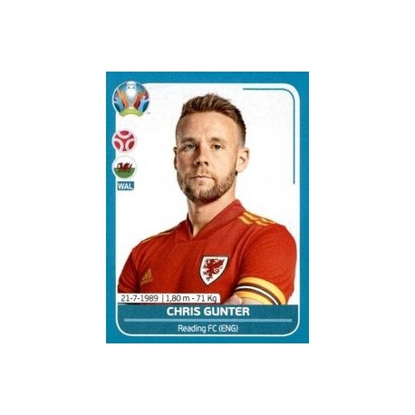 Chris Gunter Wales WAL10