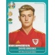 David Brooks Wales WAL24