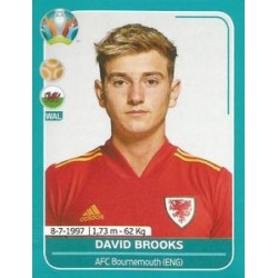 David Brooks Wales WAL24