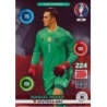 Trading Cards Manuel Neuer Goal Stopper Adrenalyn XL Euro 2016