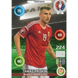 Tamás Priskin Magyarország 201