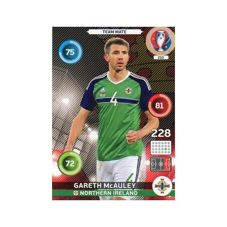 Gareth McAuley Northern Ireland 210