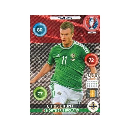 Chris Brunt Northern Ireland 215