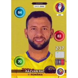 Răzvan Raț Expert România 313