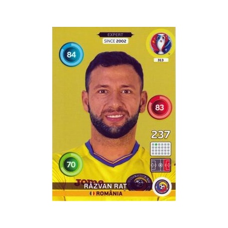 Răzvan Raț Expert România 313