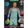 Offer Soccer Cards Igor Akinfeev Goal Stopper Panini Adrenalyn XL Uefa Euro 2016