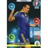 Soccer Trading Cards Artem Fedetskyi Ukraine Panini Adrenalyn XL Uefa Euro 2016