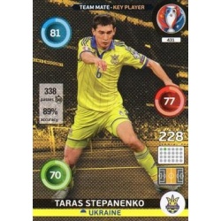 Taras Stepanenko Key Player Ukraine 431