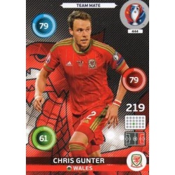 Chris Gunter Wales 444
