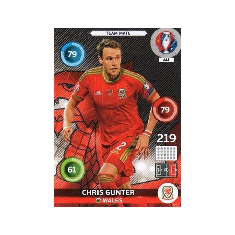Chris Gunter Wales 444