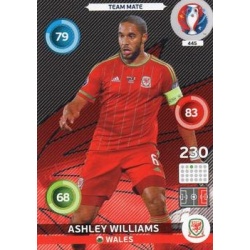 Ashley Williams Wales 445