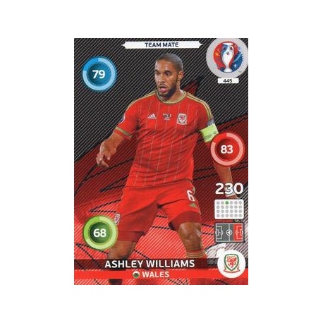 Ashley Williams Wales 445