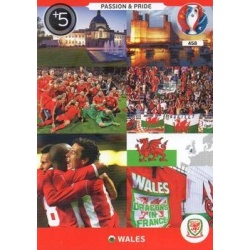Passion & Pride Gales 458
