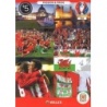 Offer Soccer Cards Passion & Pride Wales Adrenalyn XL Euro 2016