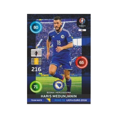 Haris Medunjanin Bosna Hercegovina 40